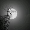 user17261220777031