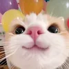 hoangthien_2910