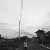 rizta.a