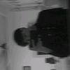 wzw_neil