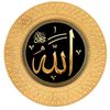 professionalquran