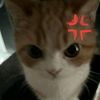 sneha.p.mgrx