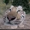 unknownaccount8380