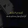muhammad.ali24911