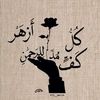 hajersalah62