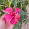 samira.nur22