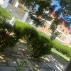 as_a1231