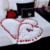 aicha.yassine6