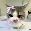elawww24