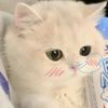nhuunzzu