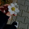 kristeen.banyodeh13