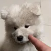 nopradaqt