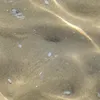 t_13063