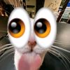 kevleo123