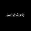 m_ain8