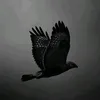 sarwar669988