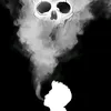 dragan6662
