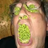 zucr4