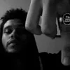 xo__twod_