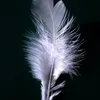 thelightoftheheart55