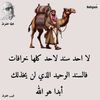 user8183530471817