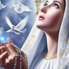 estrella.de.la.ma24