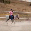 Razan