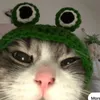 rhubarbpie09