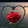 user4079713908837