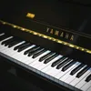 piano.player38