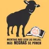 padresxlaverdades