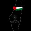 mohamedelhadad3507