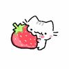 all_lover0