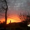 brenda_castillo07