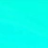 evaangelincoded