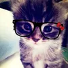abbylovesevade