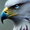 user2953029186000
