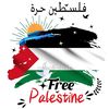 eng.ahmed010