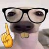 nay_ama_comer