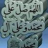sayed.hussein264