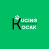 kucingkocakk1