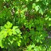 offgrid_in_the_tropics
