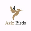 azez_birds