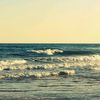theseasaid0