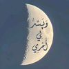 abodi.abodi73