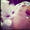 fiza__liozaa07