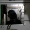 arsyi..mkl123