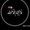 mdtarekhossain675