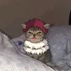 c_sikibidi