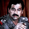 _hamoud_1991_